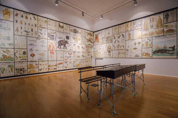 Clube de viagens - Regresso às aulas no museu escolar Oliveira Lopes